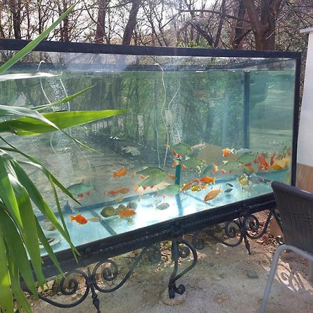 Gaestehaus Coco Кремс Екстериор снимка